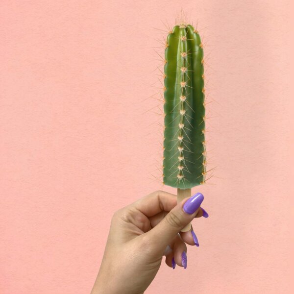 Creative cactus ice cream concept held by hand with purple nails against a pink backdrop.