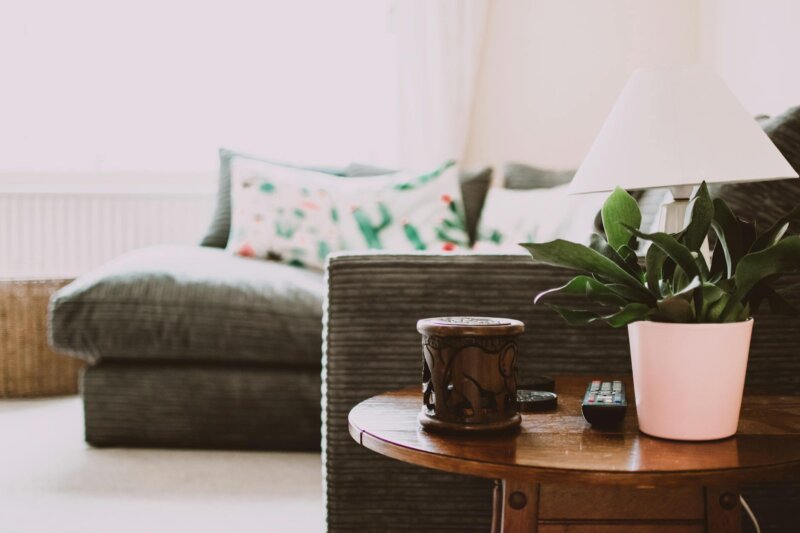 Warm and inviting living room featuring a cozy sofa, stylish decor, and natural light.