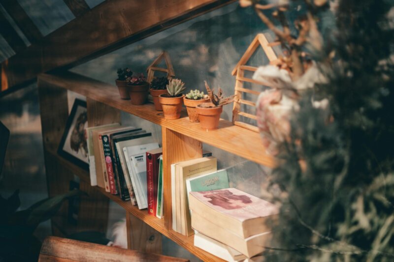 Warm sunlight on a wooden bookshelf filled with books and potted succulents in Dalat, Vietnam.